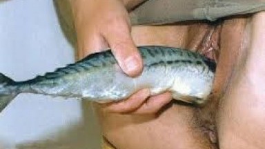 Порно с рыбами