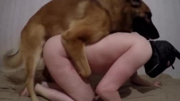 Собака трахает мужика в жопу. Гей зоо порно с домашним животным онлайн