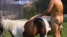 Мужик трахает бабу и лошадь в групповом зоо порно