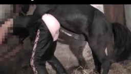 Зоо порно изнасилование конём женщины