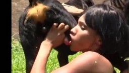 Мулатки и собака, настоящее зоо порно с Бразилии