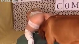 Порно блондинки с собакой. Zoo school porn