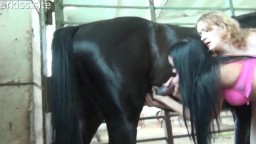 Русские телки и конь, короткое видео зоо секса